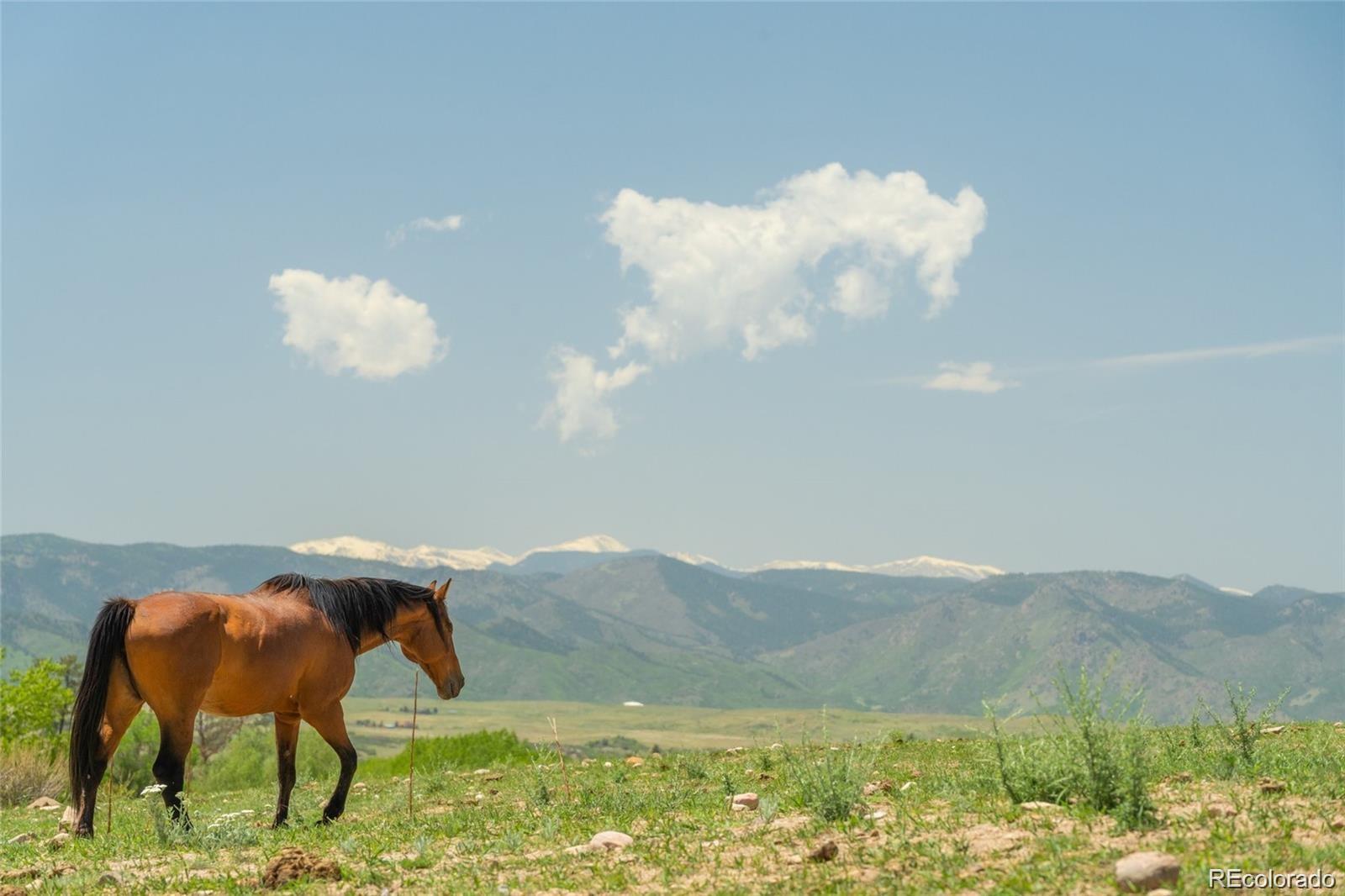 Sedalia CO, 3330 Tweet Place