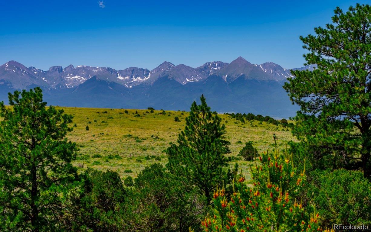 525 Brush Hollow Road Westcliffe CO 81252
