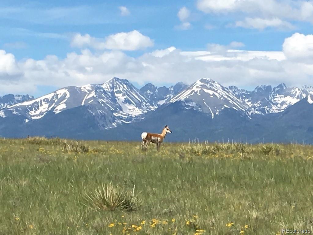 525 Brush Hollow Road Westcliffe CO 81252