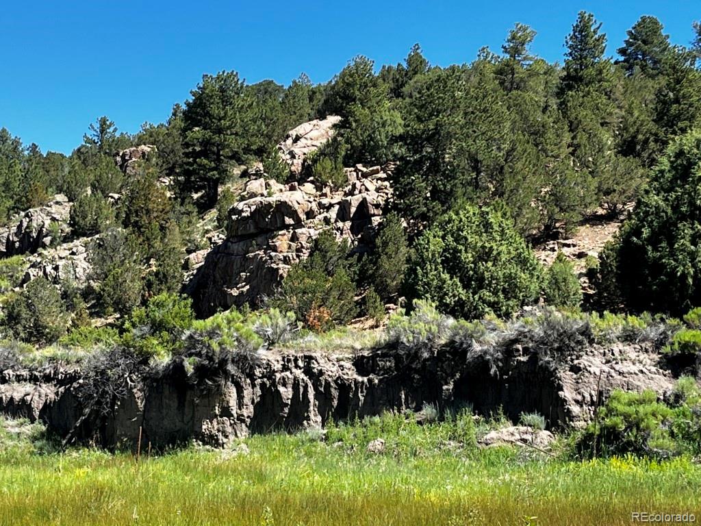 525 Brush Hollow Road Westcliffe CO 81252