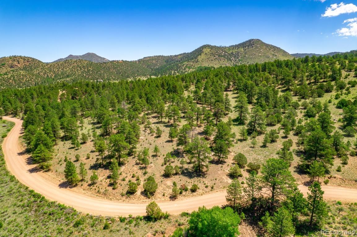 525 Brush Hollow Road Westcliffe CO 81252