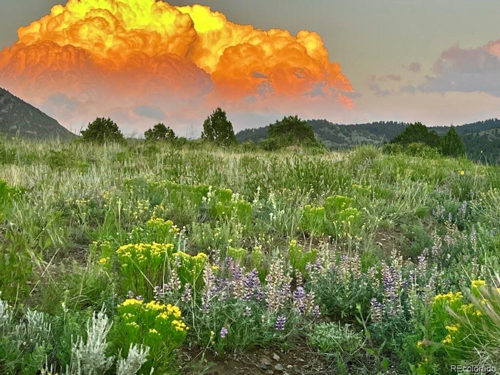525 Brush Hollow Road Westcliffe CO 81252