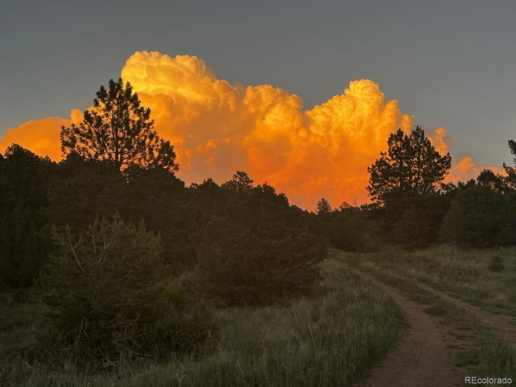 525 Brush Hollow Road Westcliffe CO 81252