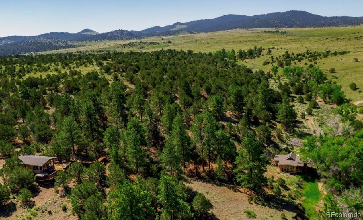 525 Brush Hollow Road Westcliffe CO 81252