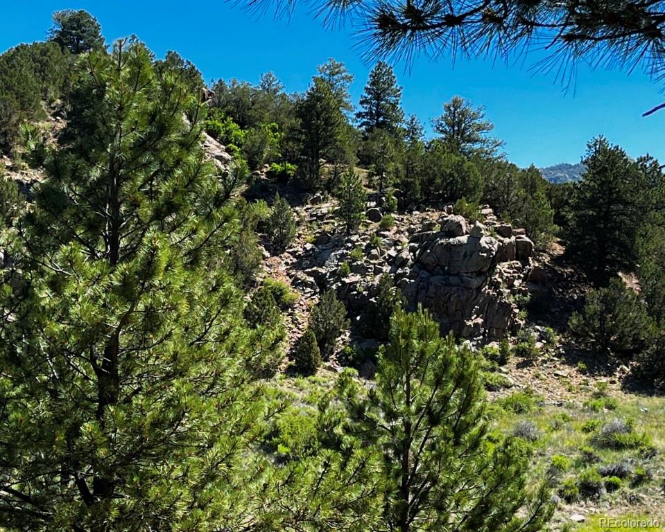 525 Brush Hollow Road Westcliffe CO 81252