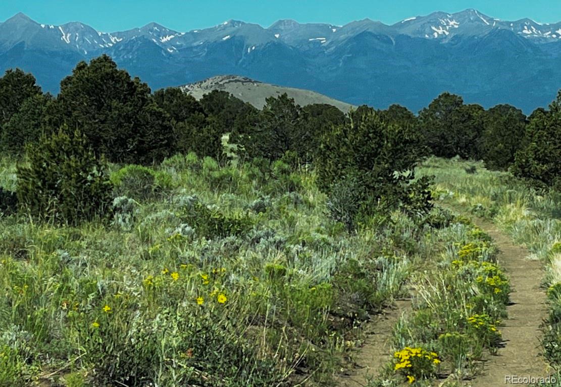 525 Brush Hollow Road Westcliffe CO 81252