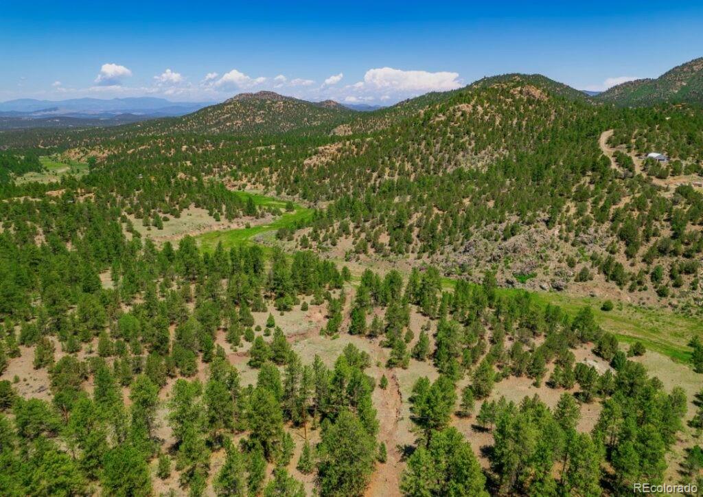 525 Brush Hollow Road Westcliffe CO 81252