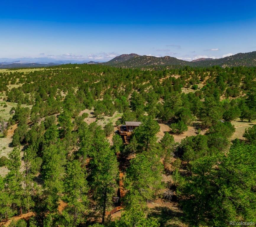 525 Brush Hollow Road Westcliffe CO 81252