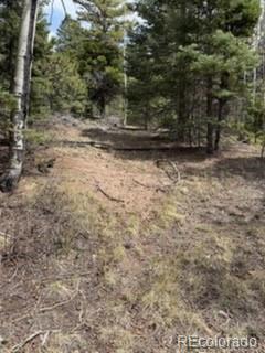 Lot 2711 Sleger Road Fort Garland CO 81133