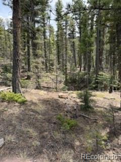 Lot 2711 Sleger Road Fort Garland CO 81133