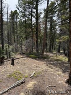 Lot 2711 Sleger Road Fort Garland CO 81133