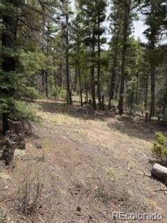 Lot 2711 Sleger Road Fort Garland CO 81133