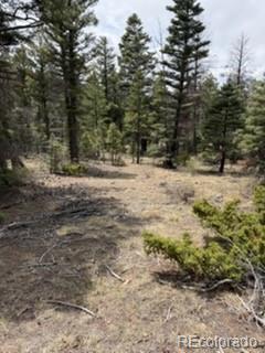 Lot 2711 Sleger Road Fort Garland CO 81133