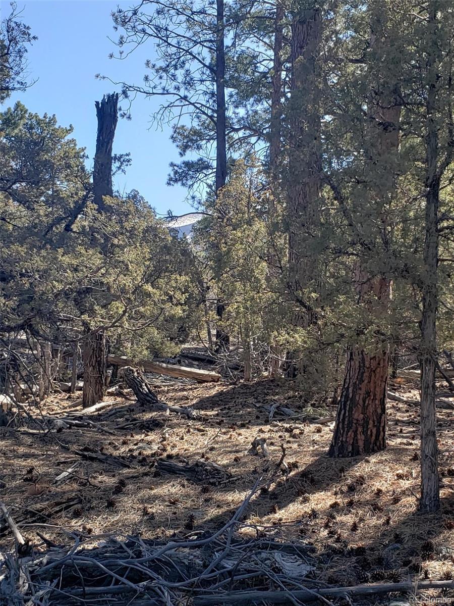 Tract 2 Costilla Place Mosca CO 81146