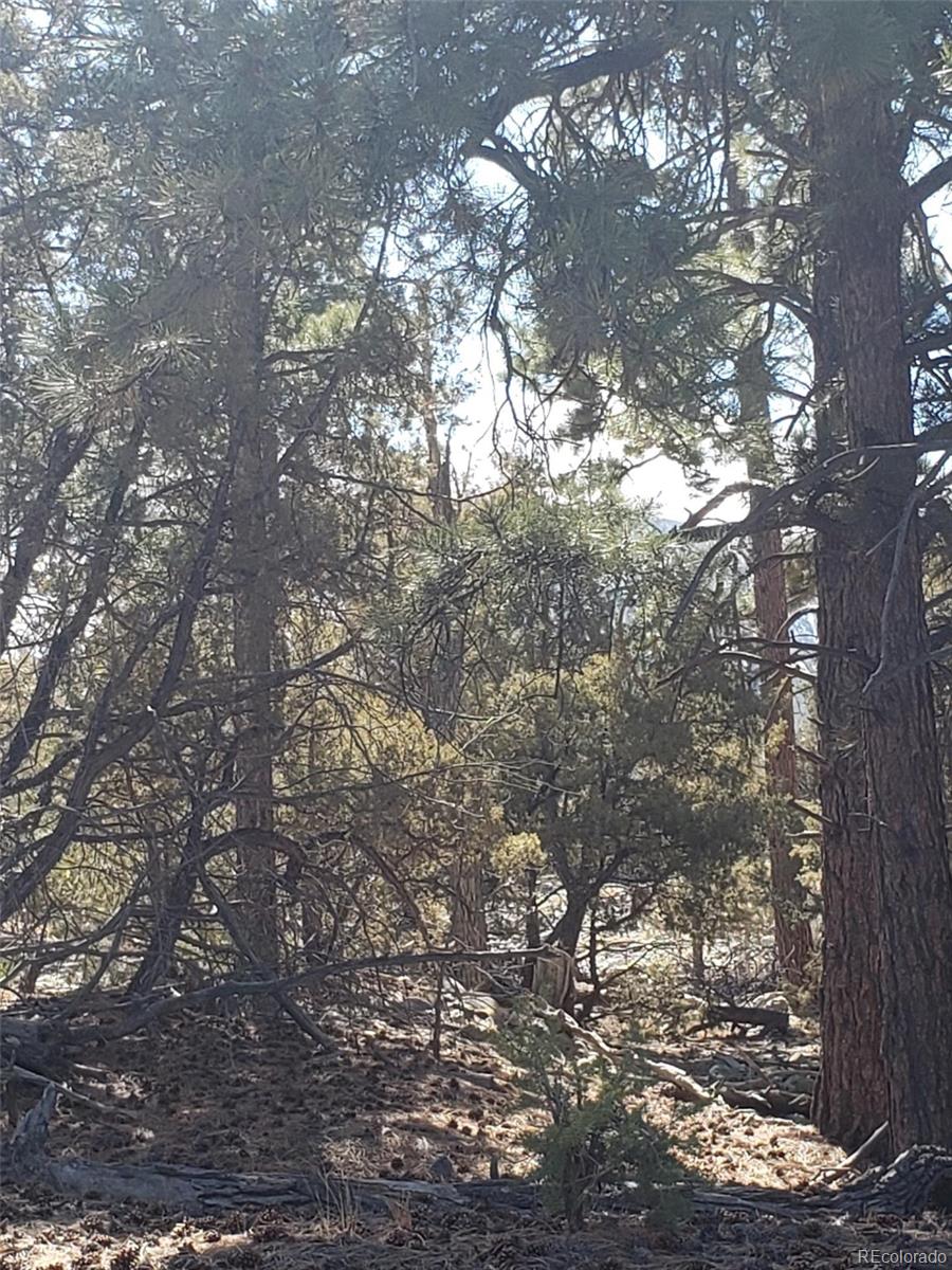 Tract 2 Costilla Place Mosca CO 81146