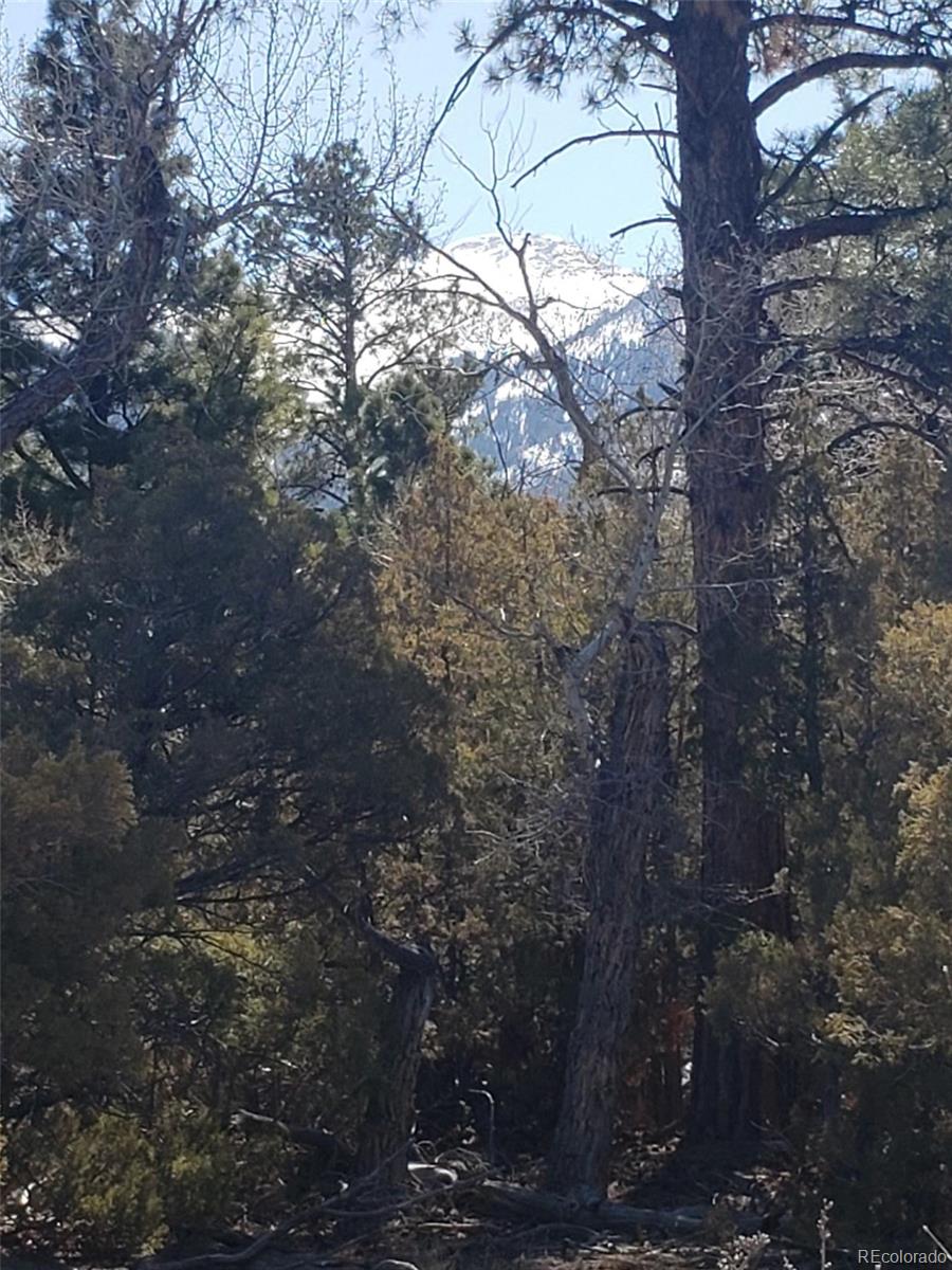 Tract 2 Costilla Place Mosca CO 81146