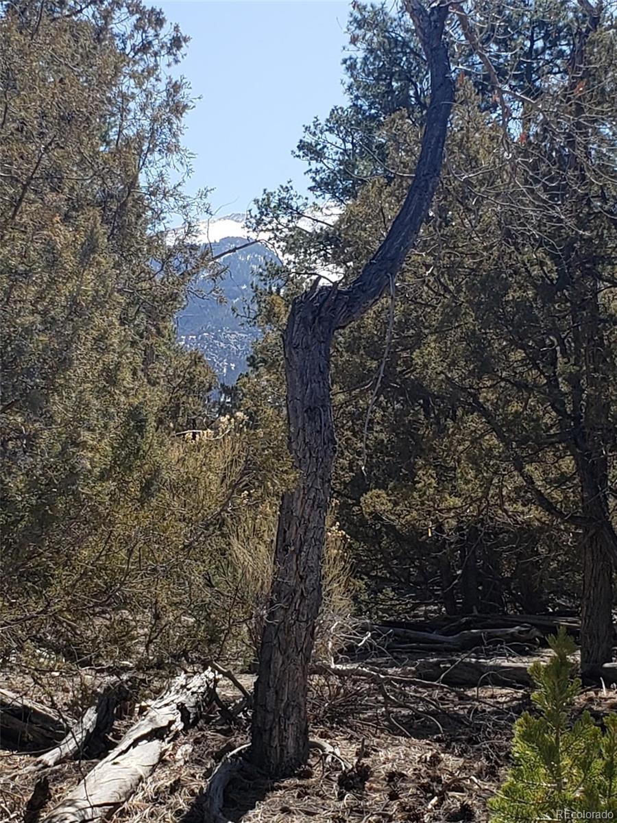 Tract 2 Costilla Place Mosca CO 81146