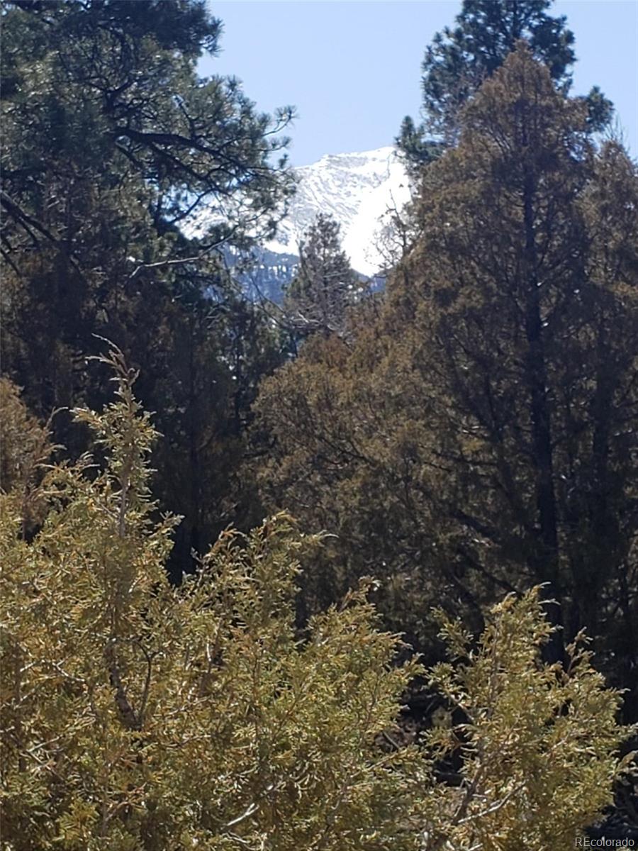 Tract 2 Costilla Place Mosca CO 81146