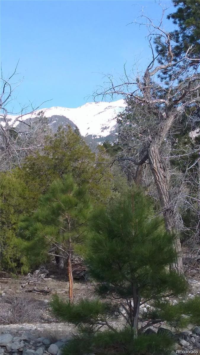 Tract 2 Costilla Place Mosca CO 81146