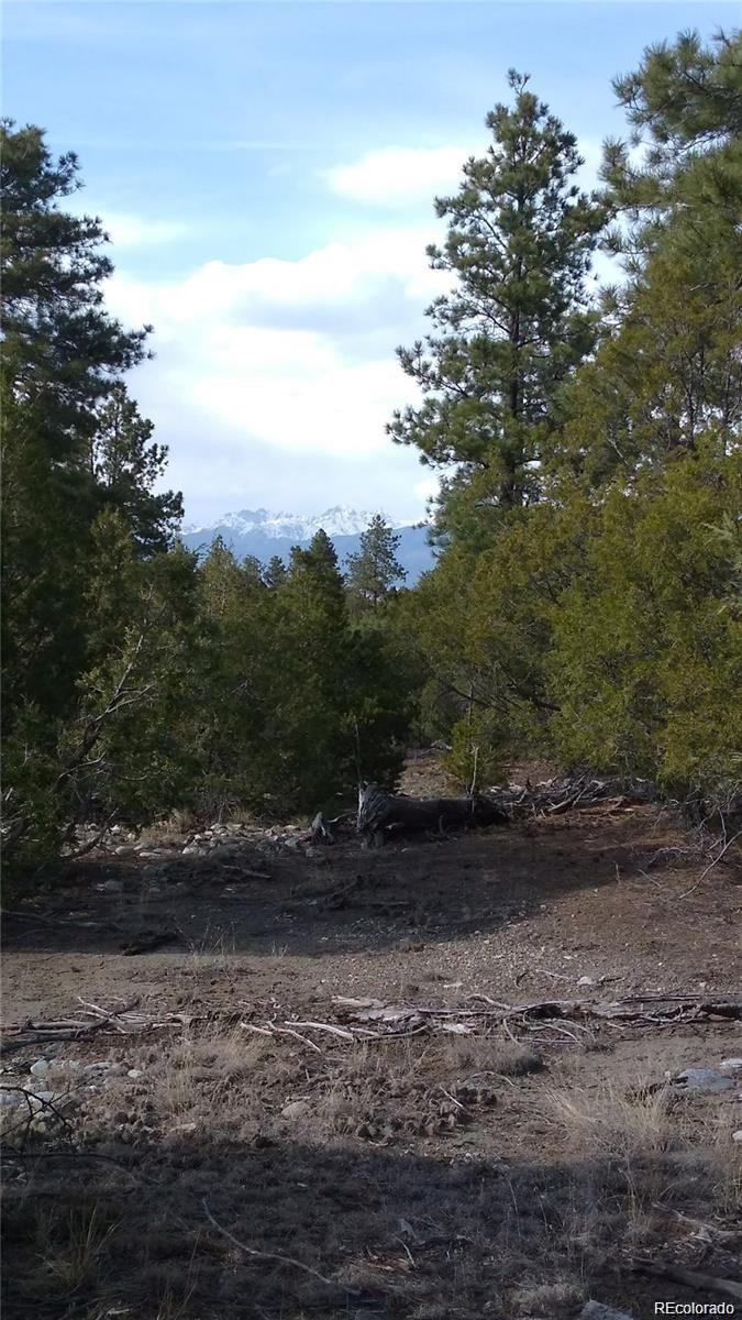 Tract 2 Costilla Place Mosca CO 81146