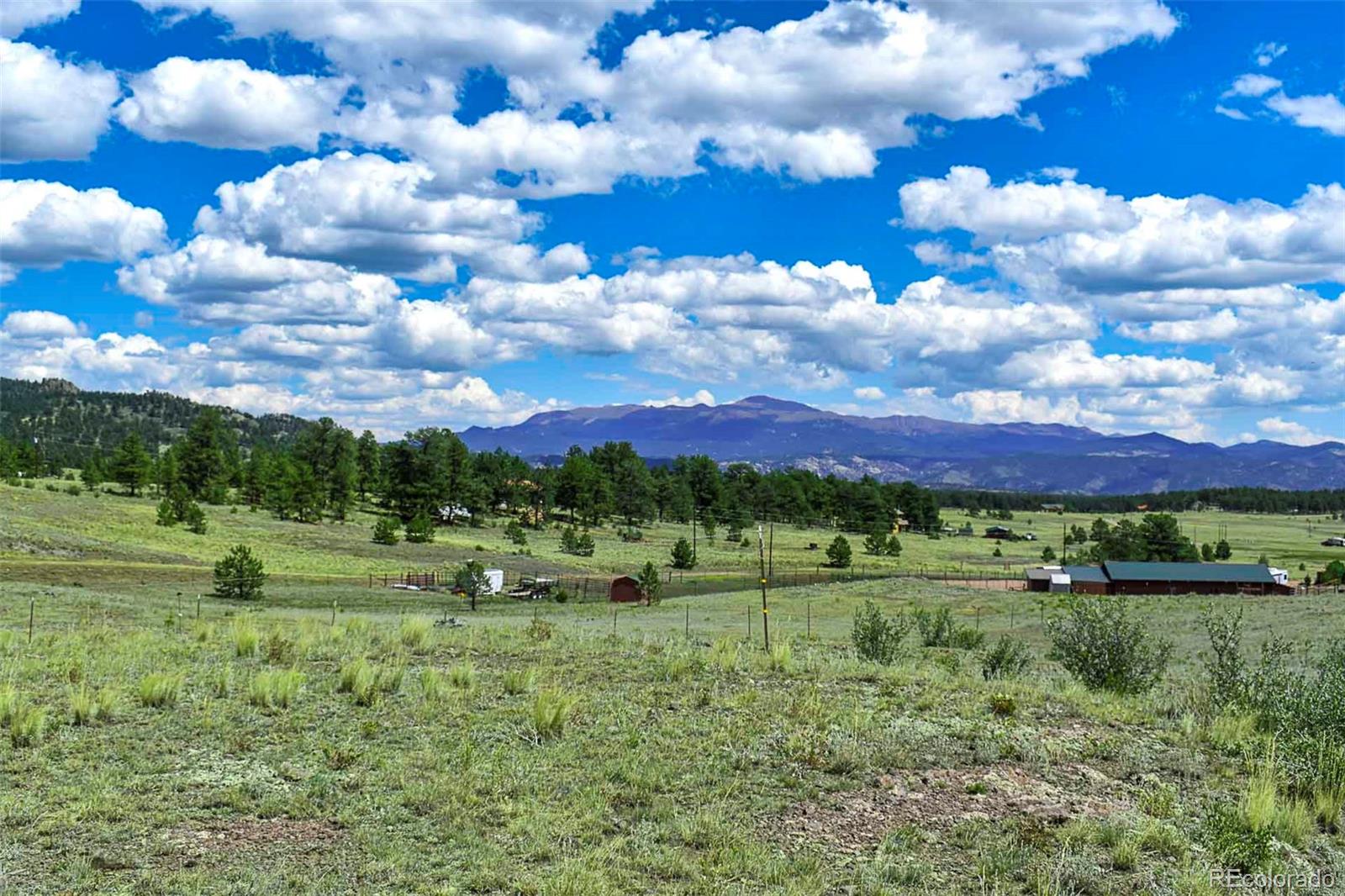597 Meadow Lane Guffey CO 80820