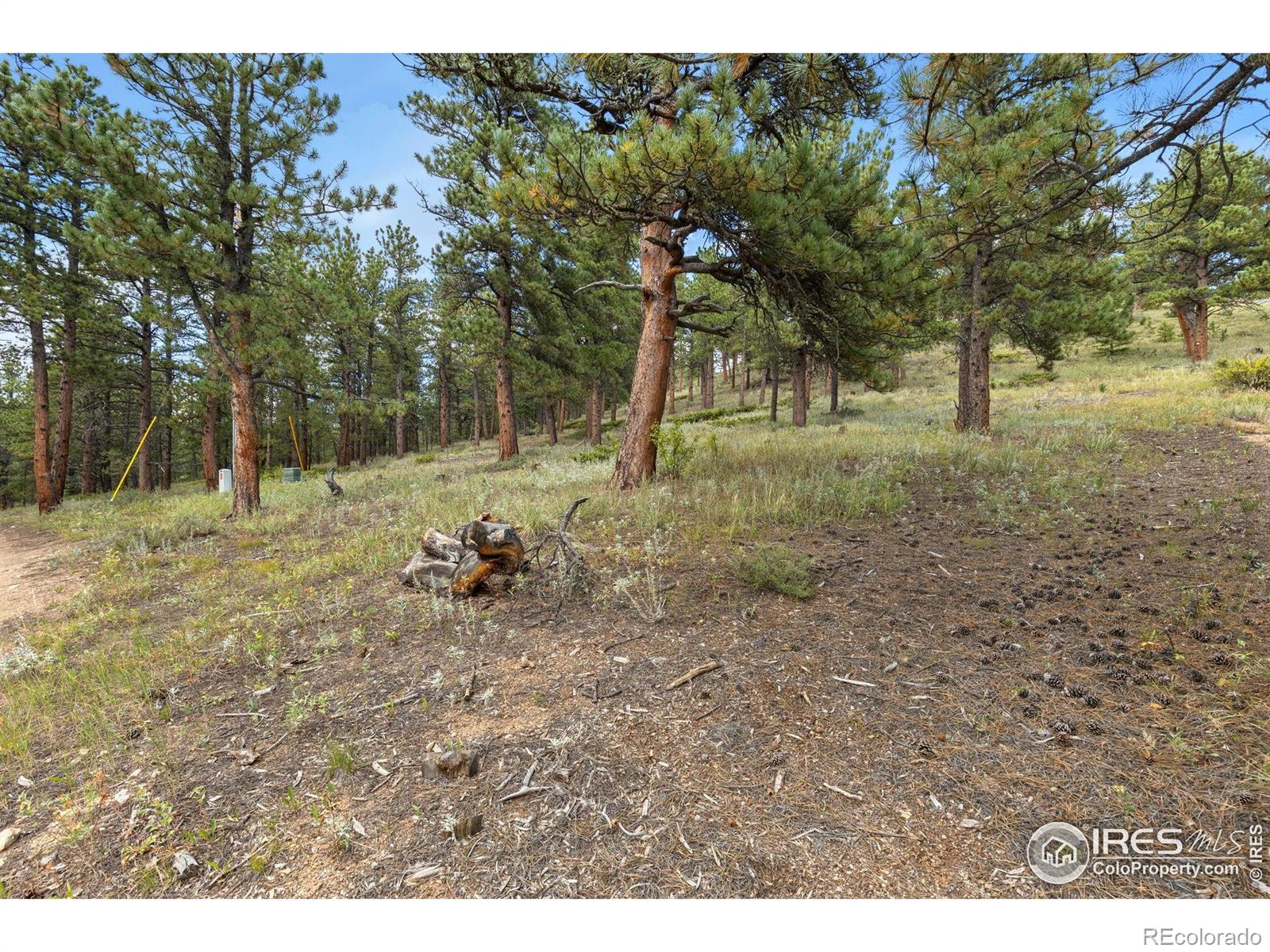 357 Big John Road Lyons CO 80540