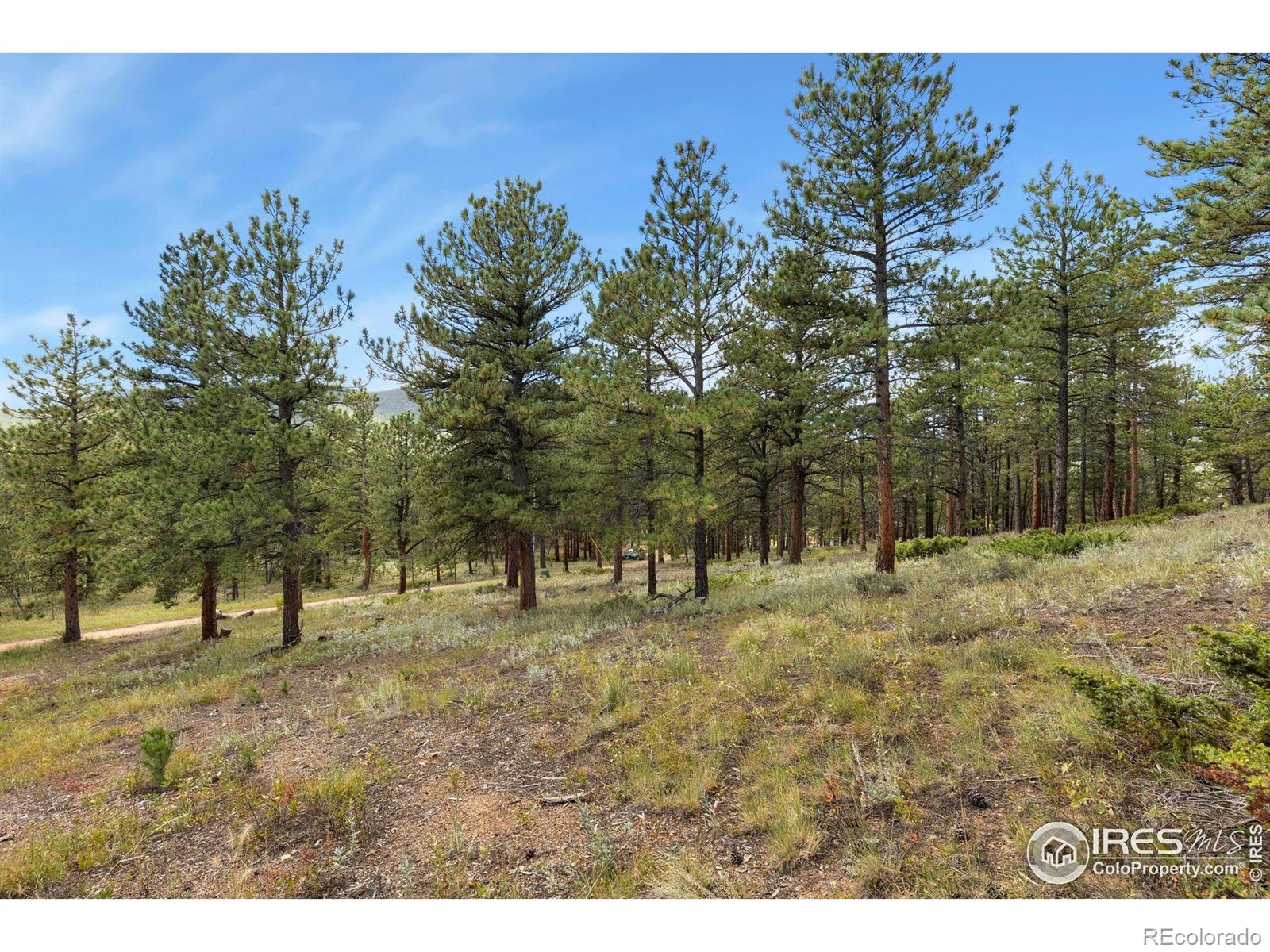 357 Big John Road Lyons CO 80540