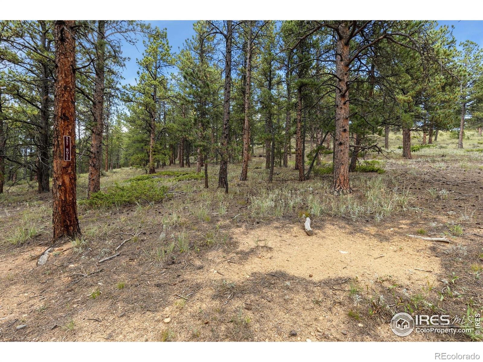 357 Big John Road Lyons CO 80540