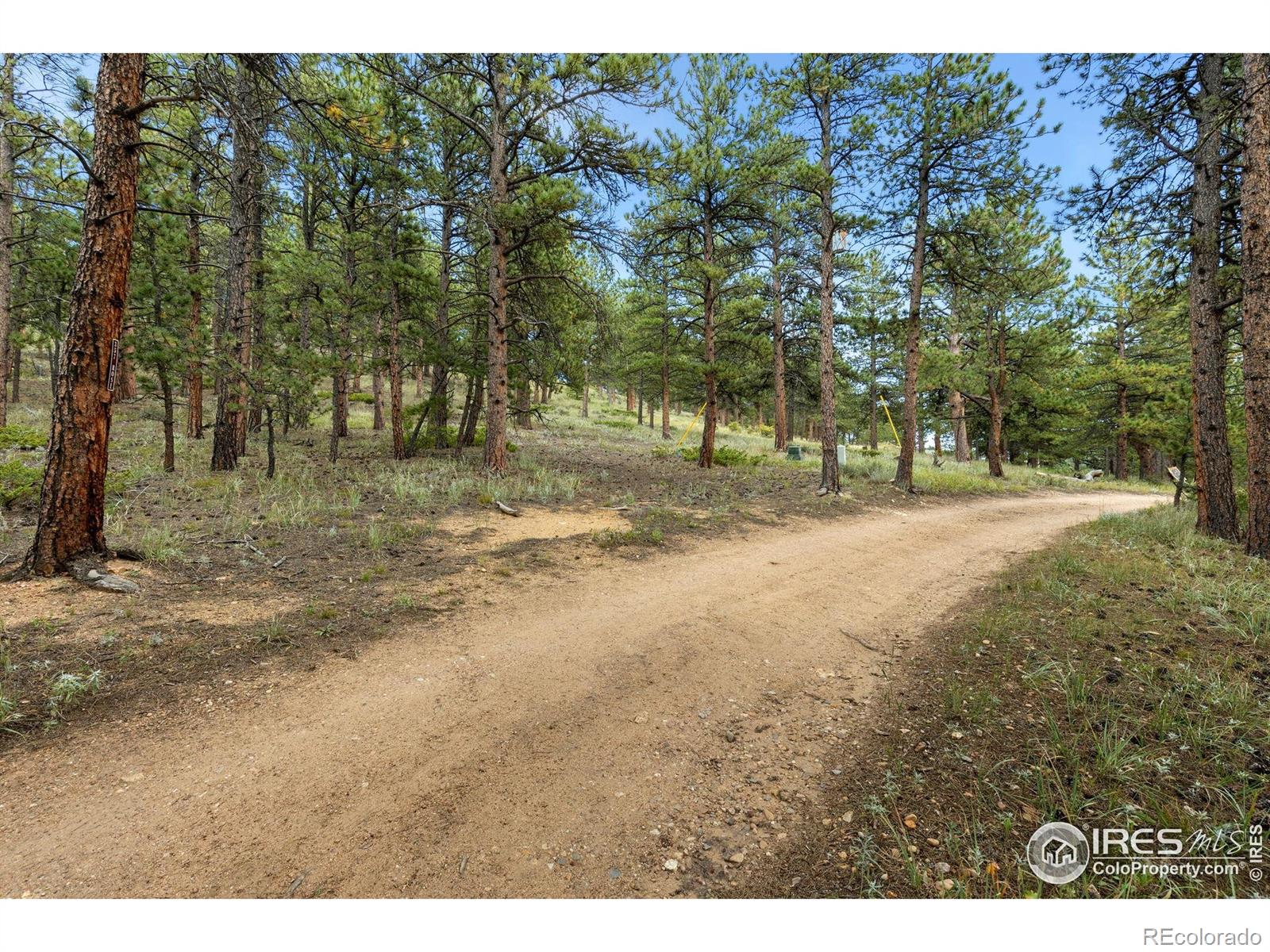 357 Big John Road Lyons CO 80540