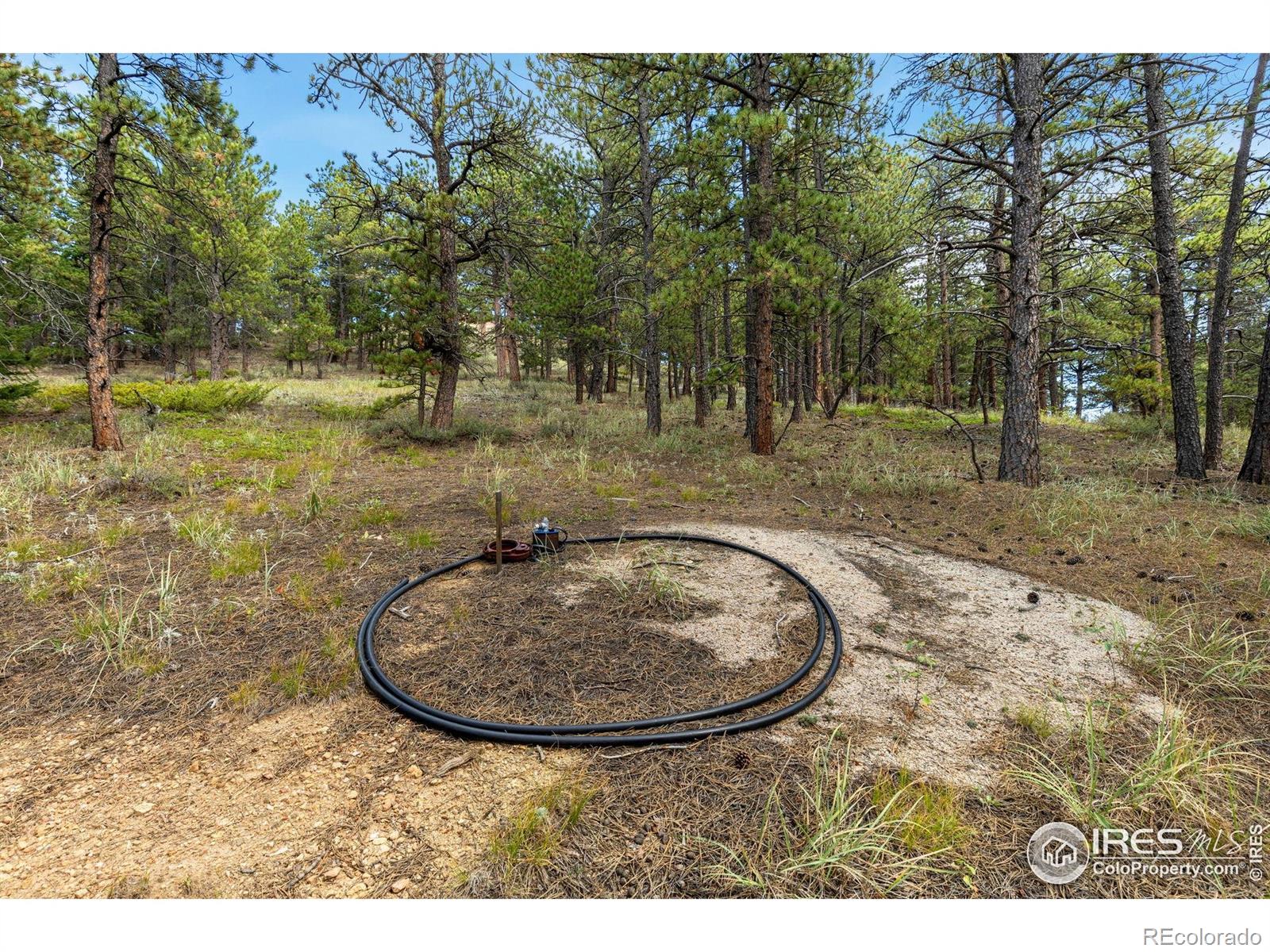 357 Big John Road Lyons CO 80540