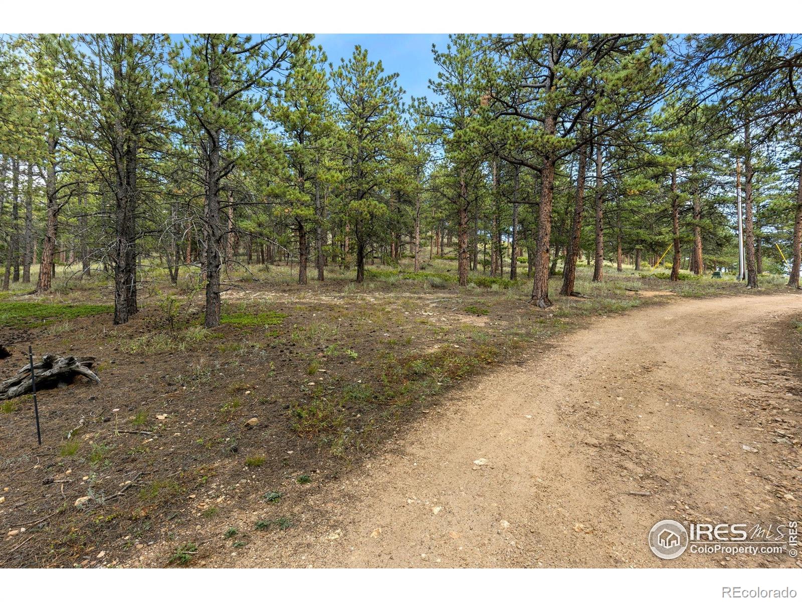 357 Big John Road Lyons CO 80540
