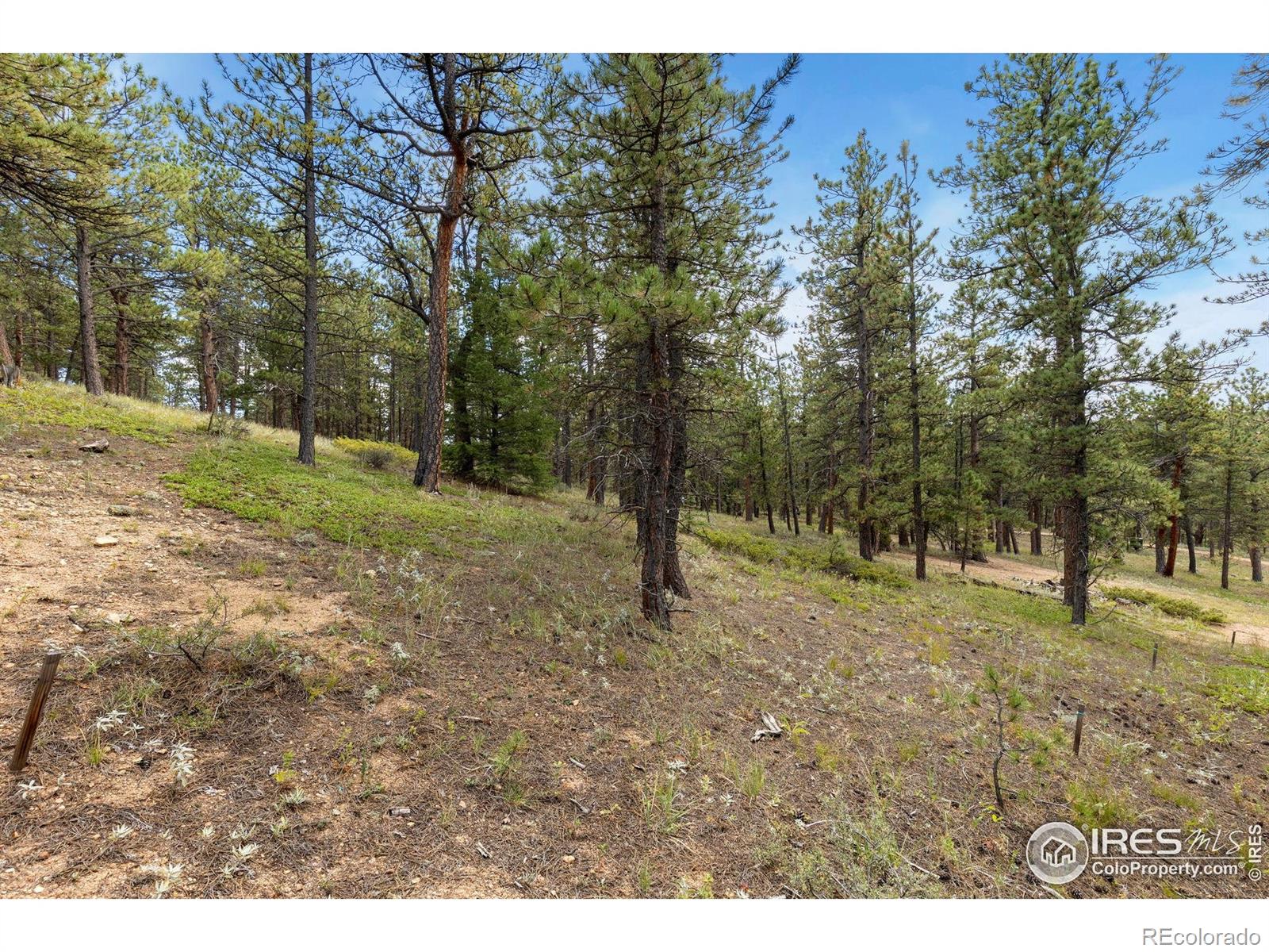 357 Big John Road Lyons CO 80540