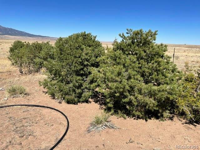 Lot 291 Black Hills Walsenburg CO 81089