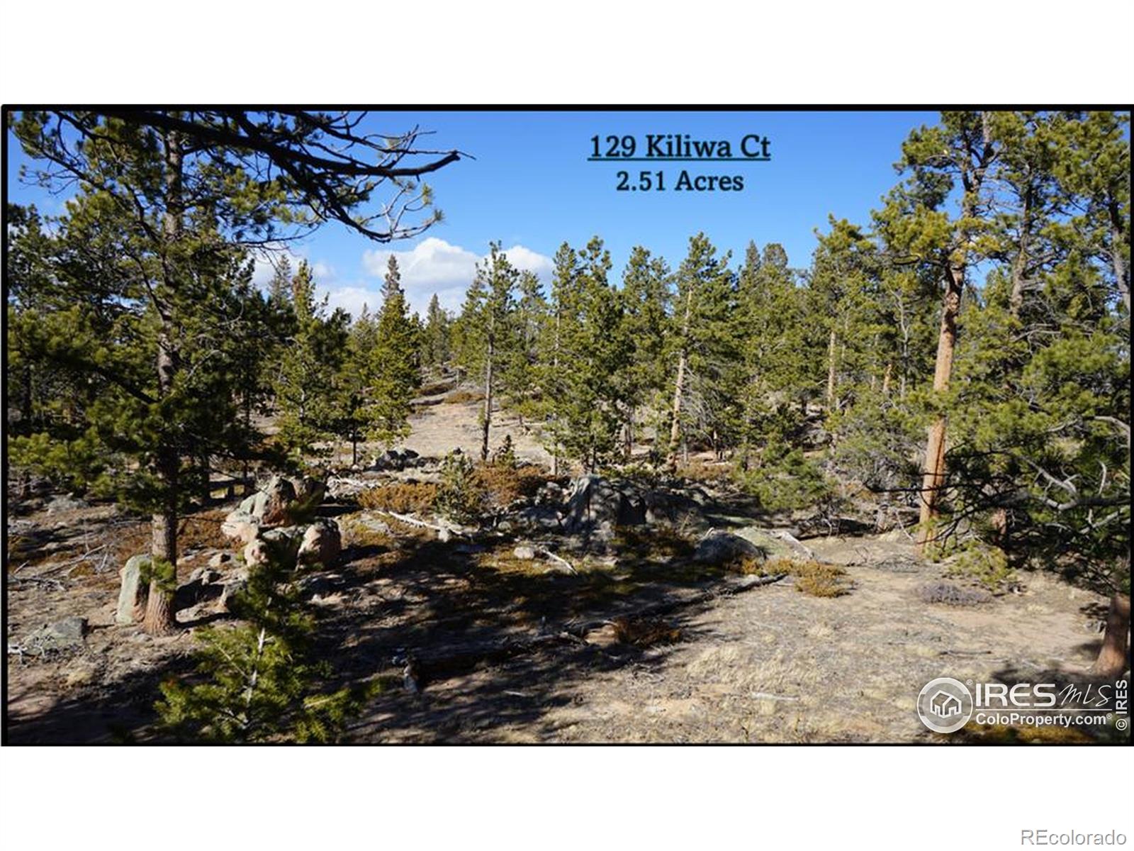 129 Kiliwa Court Red Feather Lakes CO 80545