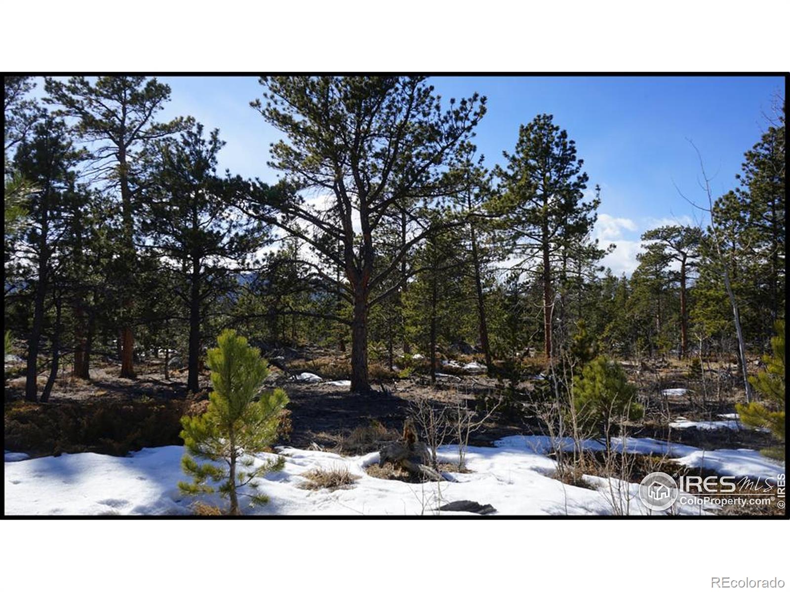 129 Kiliwa Court Red Feather Lakes CO 80545