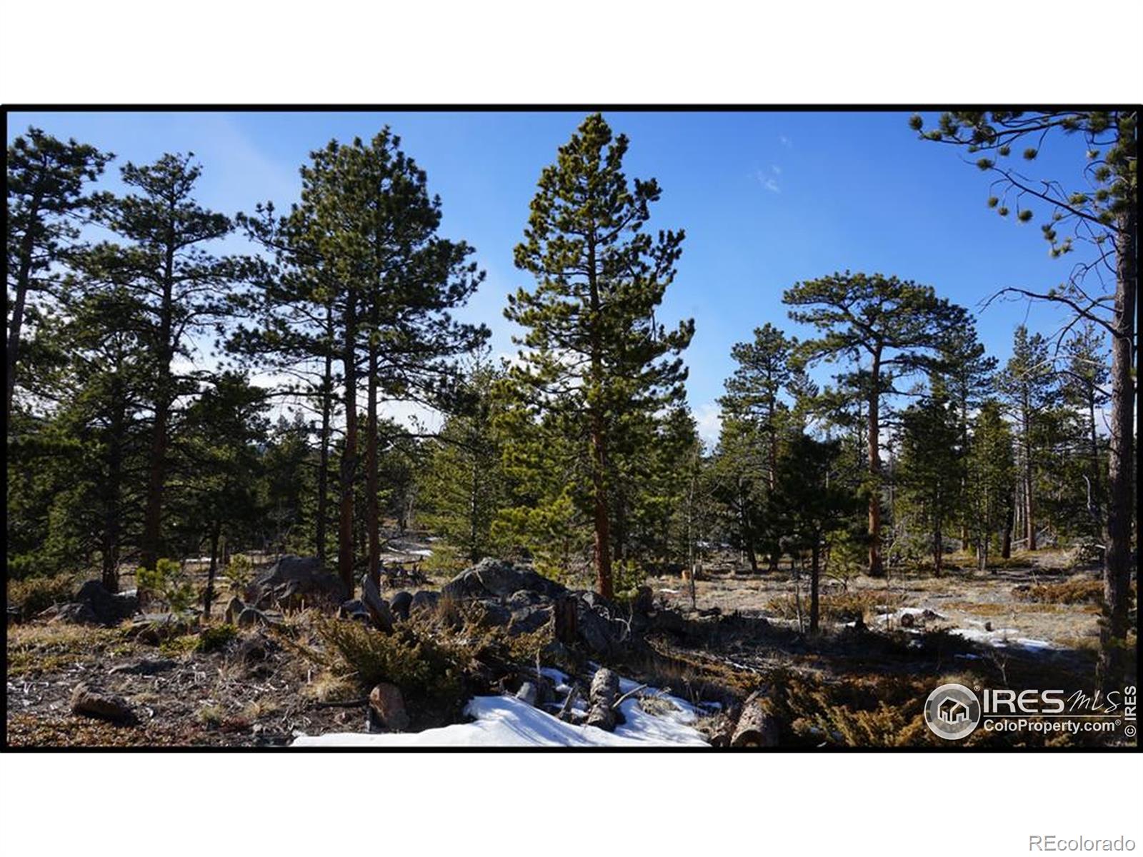 129 Kiliwa Court Red Feather Lakes CO 80545