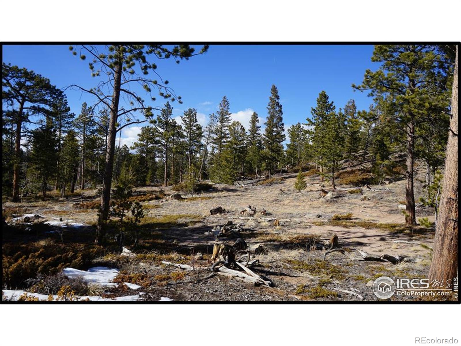 129 Kiliwa Court Red Feather Lakes CO 80545