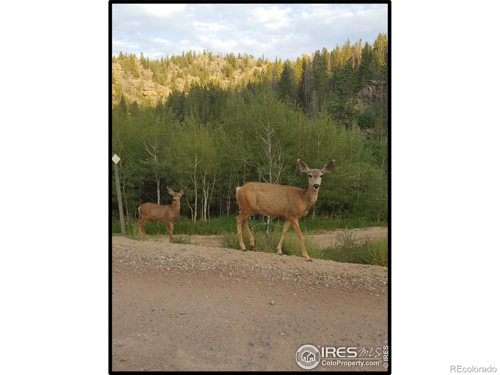 129 Kiliwa Court Red Feather Lakes CO 80545