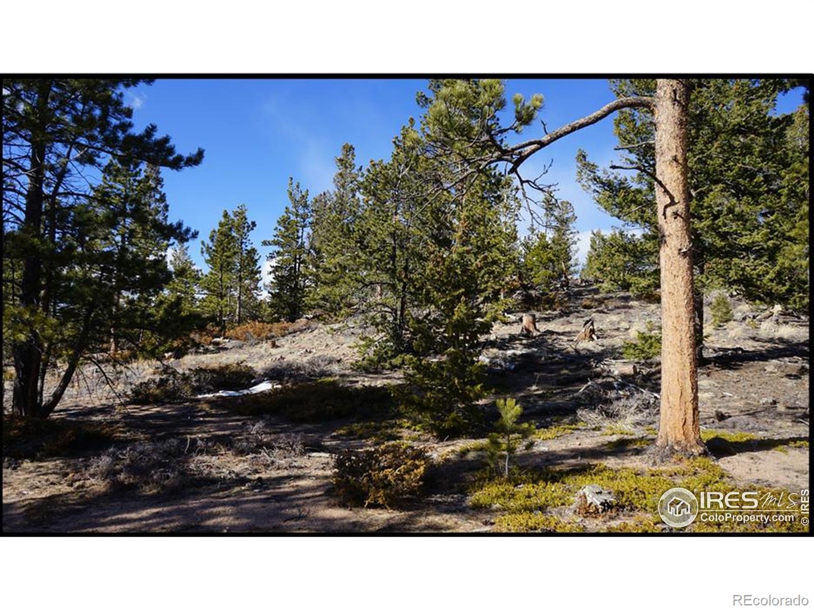 129 Kiliwa Court Red Feather Lakes CO 80545