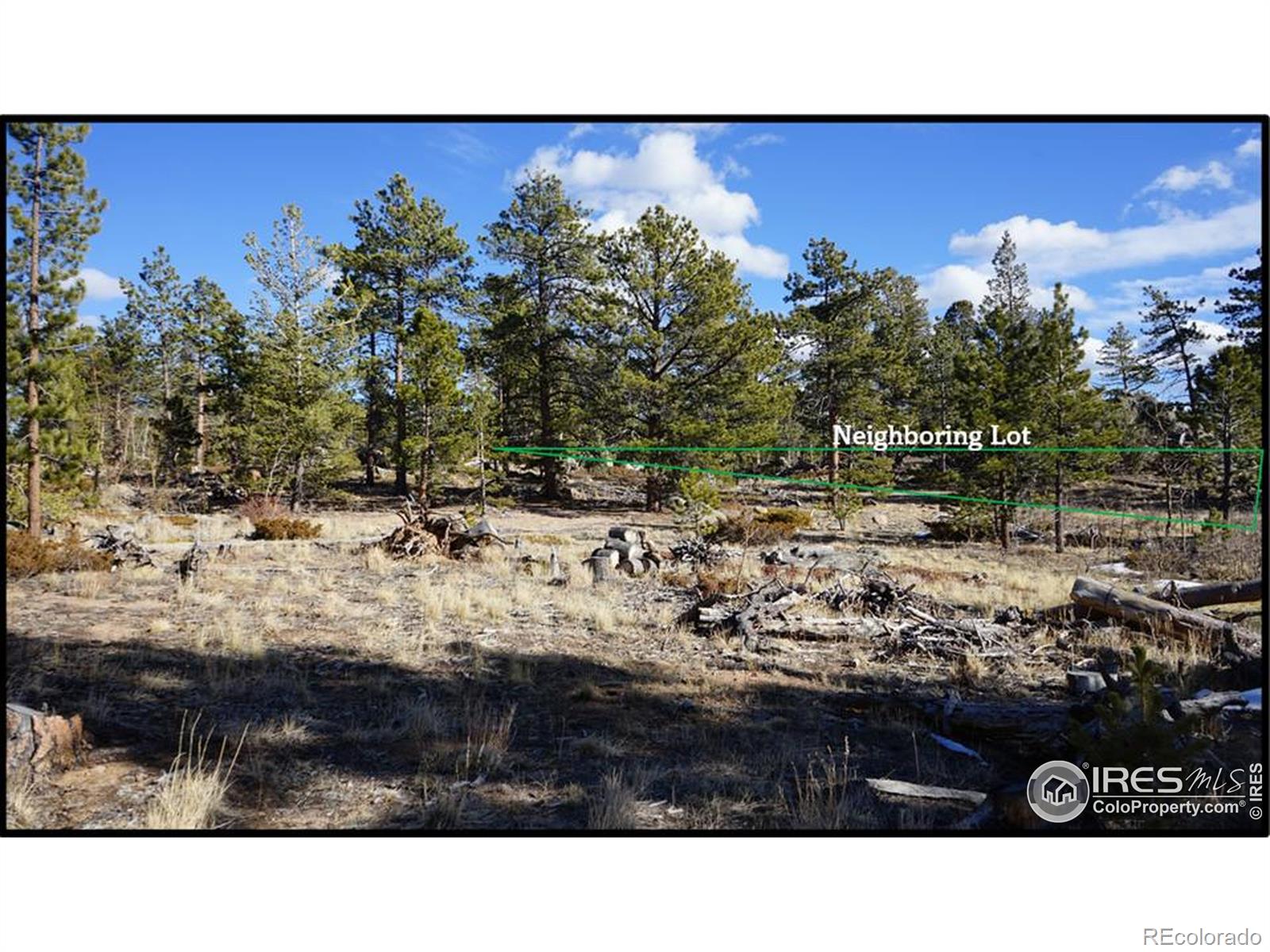 129 Kiliwa Court Red Feather Lakes CO 80545