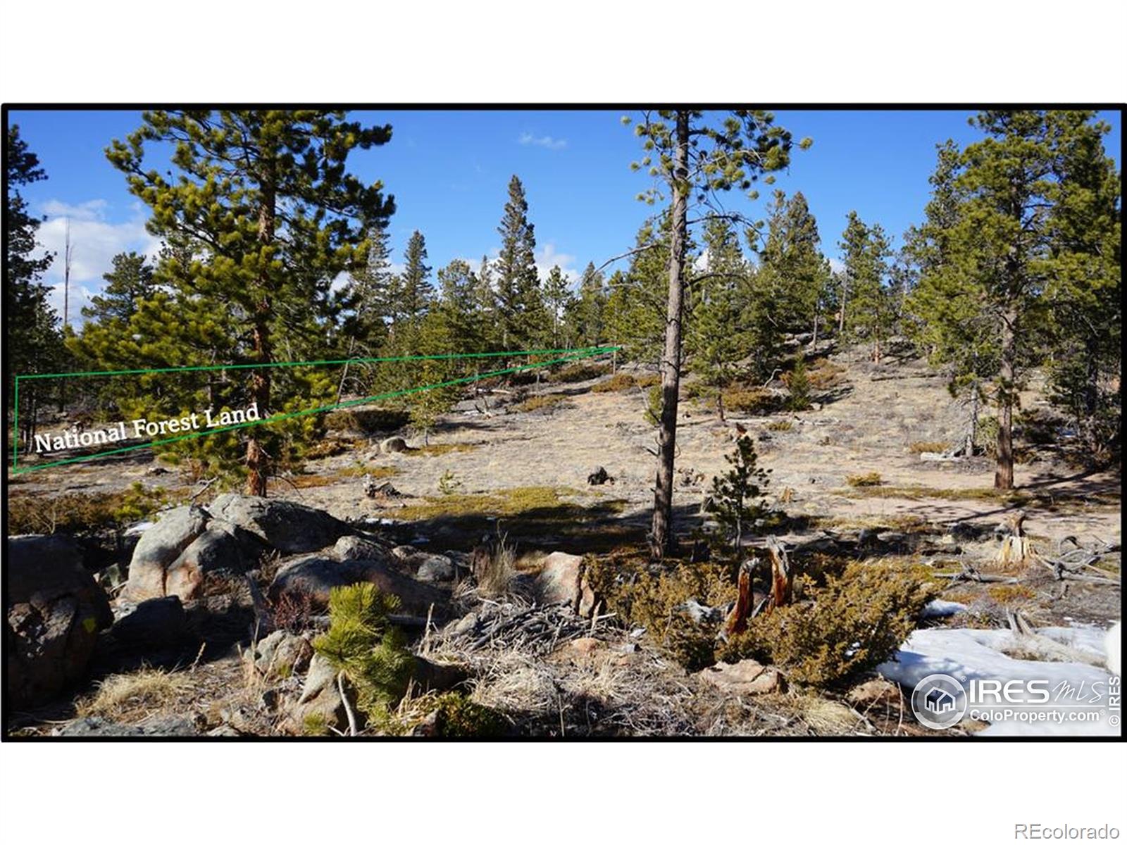 129 Kiliwa Court Red Feather Lakes CO 80545