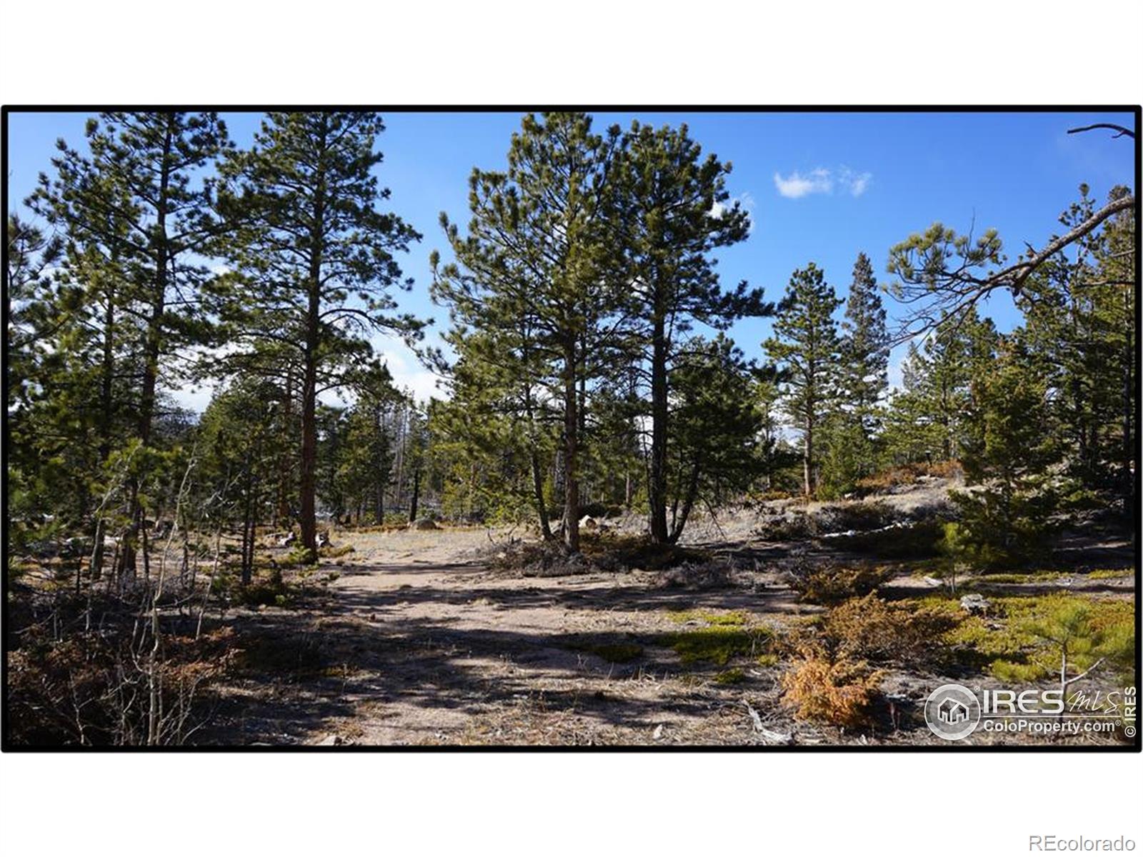 129 Kiliwa Court Red Feather Lakes CO 80545