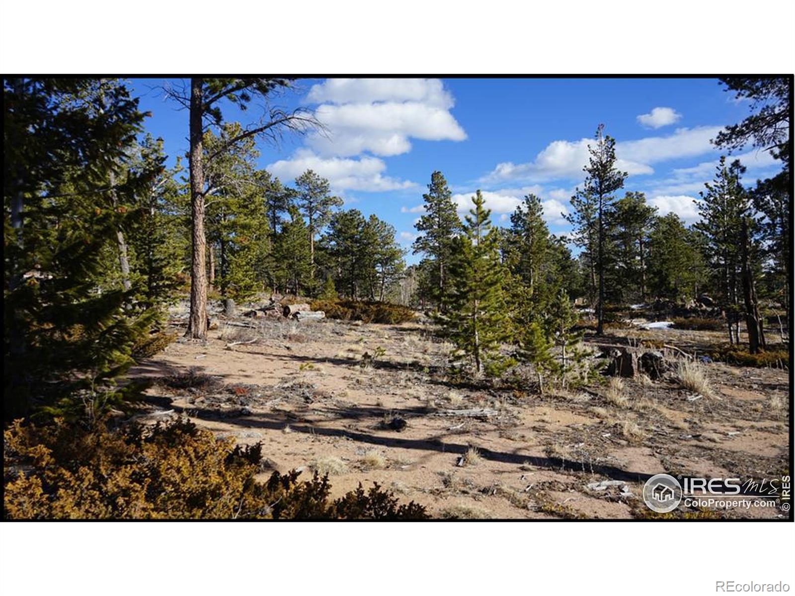 129 Kiliwa Court Red Feather Lakes CO 80545