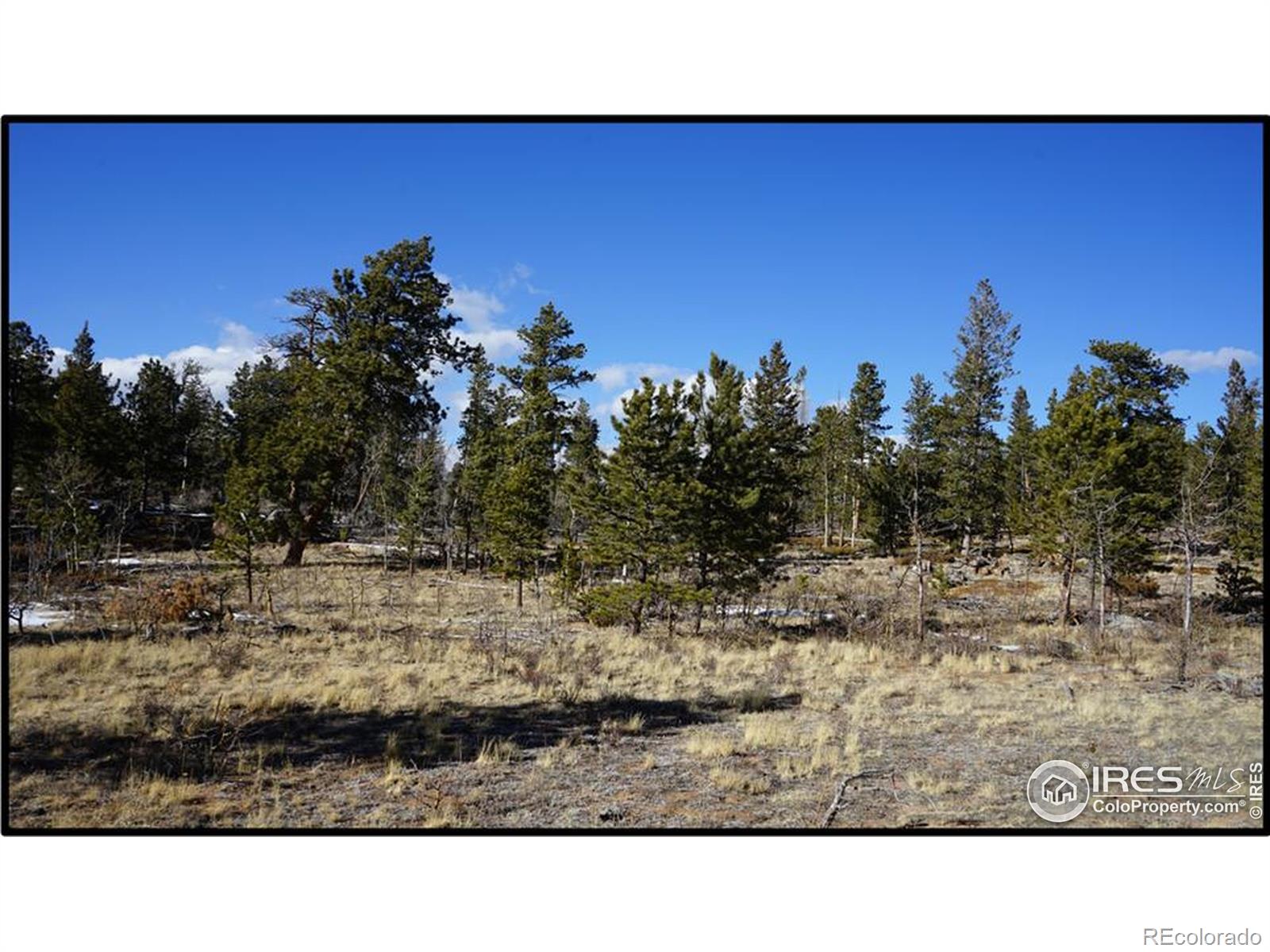129 Kiliwa Court Red Feather Lakes CO 80545