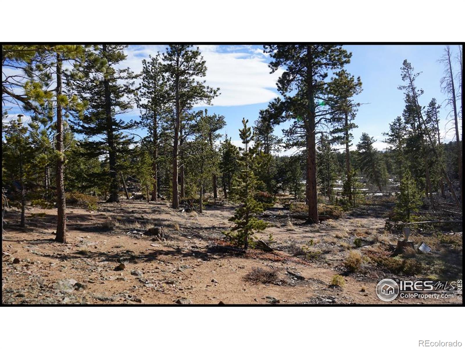 129 Kiliwa Court Red Feather Lakes CO 80545