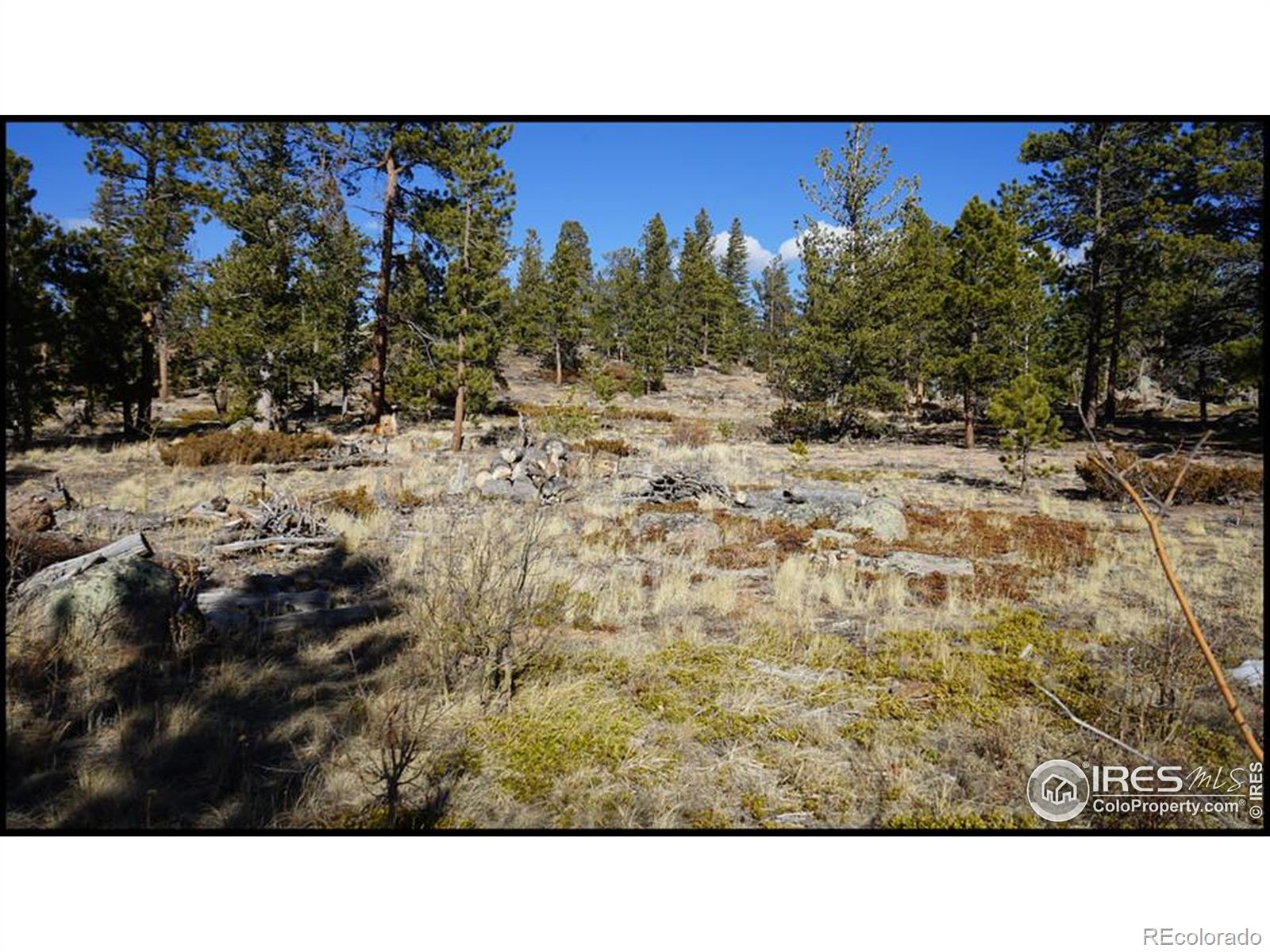 129 Kiliwa Court Red Feather Lakes CO 80545