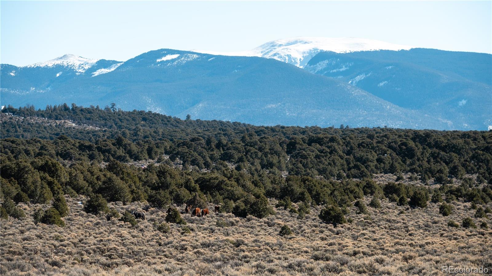 Lot 90 Elk Park Road San Luis CO 81152