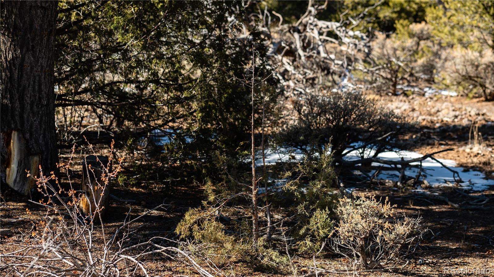 Lot 90 Elk Park Road San Luis CO 81152