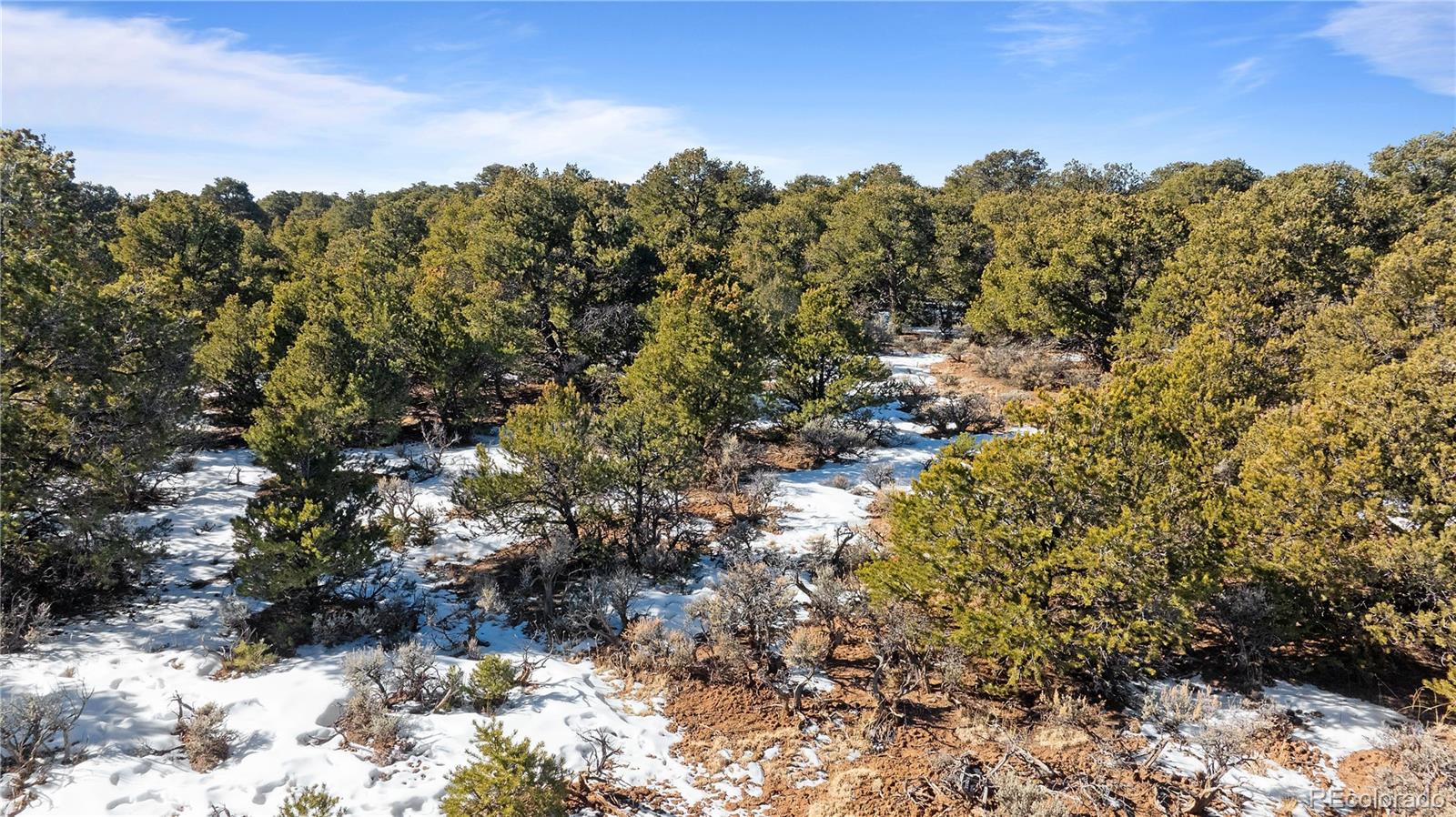 Lot 90 Elk Park Road San Luis CO 81152