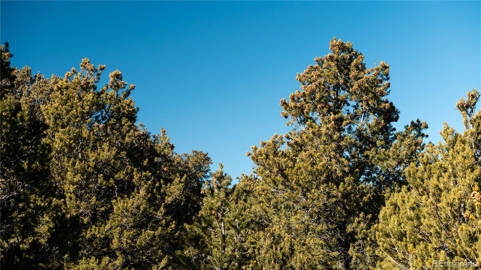 Lot 90 Elk Park Road San Luis CO 81152